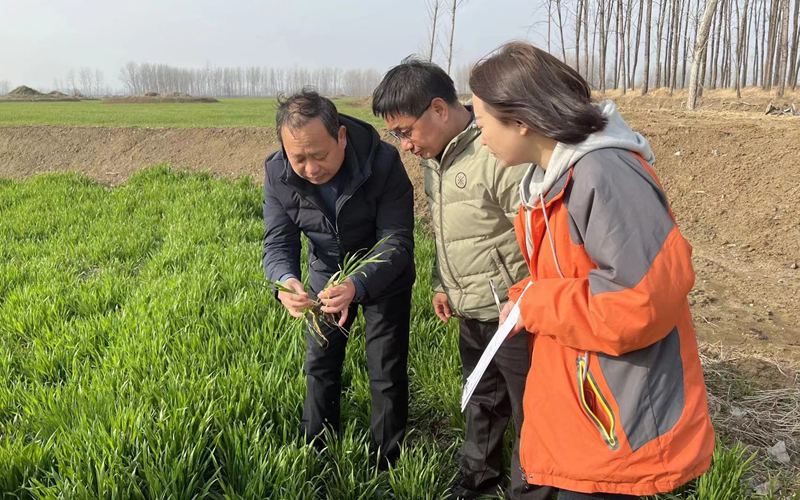 農(nóng)業(yè)大托管智庫專家為托管種植大戶傳經(jīng)送寶